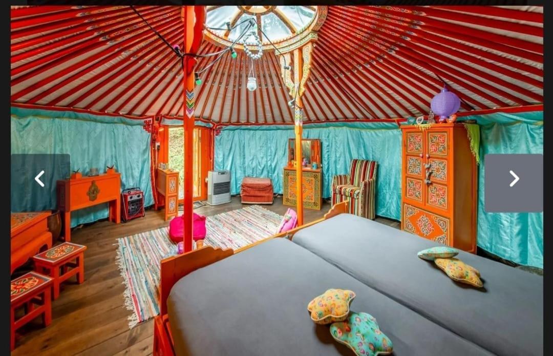 Yourte Mongole Et Cabane Houffalize Eksteriør billede